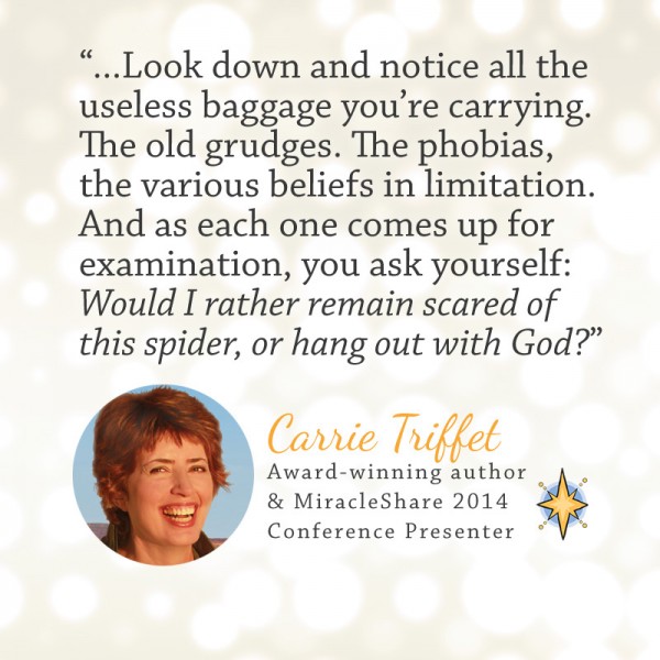 Carrie Triffet (MiracleShare 2014 presenter quote)
