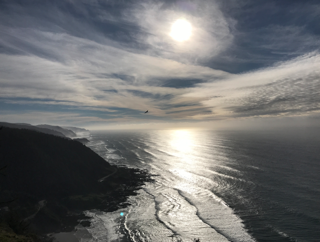 Cape Perpetua; Eagle In Flight