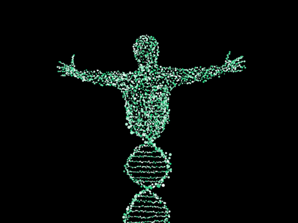 DNA Helix - man
